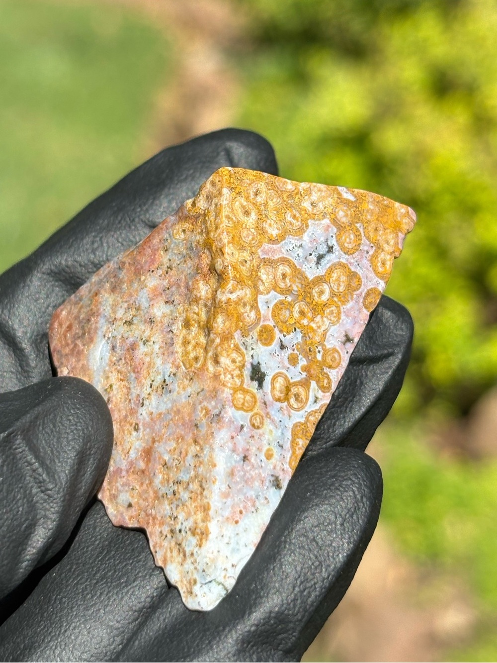 Ocean Jasper Crystal Freeform - Polished Sea Jasper - Orbicular Jasper
